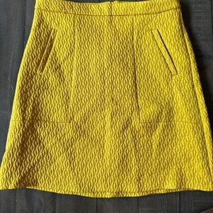 Women’s skirt
